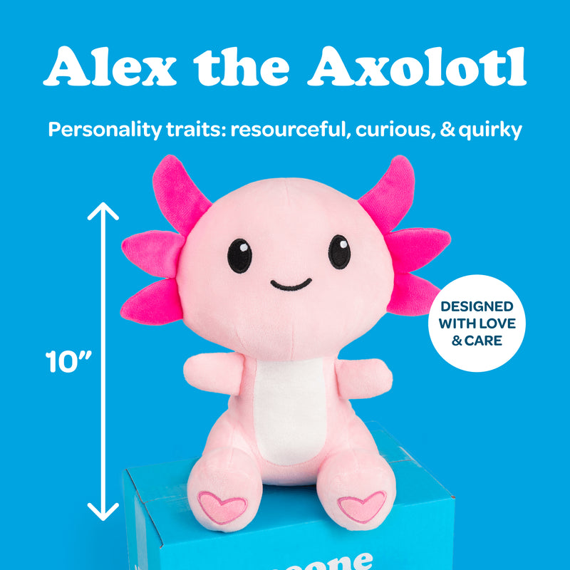 10 Stuffed Animal Care Package