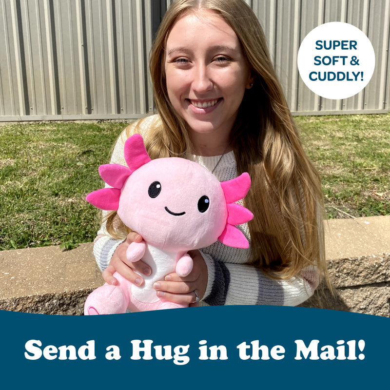 10 Stuffed Animal Care Package