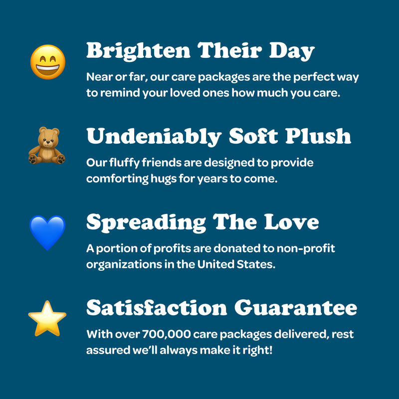 10 Stuffed Animal Care Package