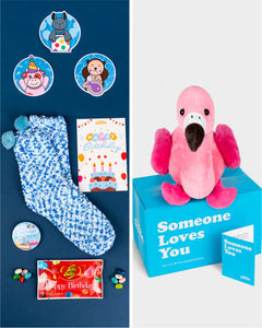 Birthday Bundle | SendAFriend's Stuffed Animal Care Packages