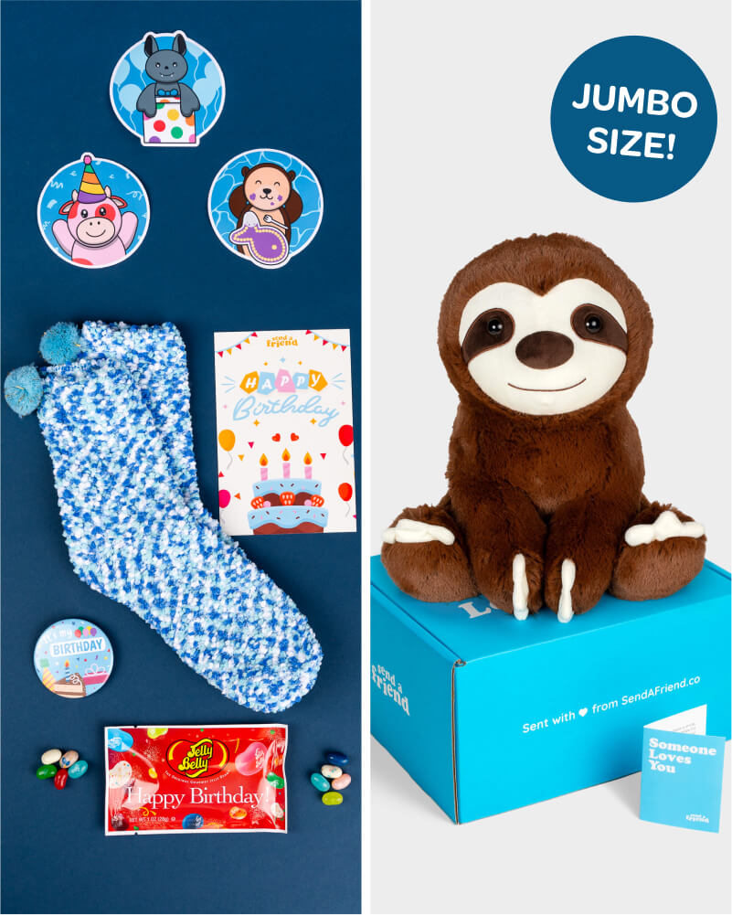 Birthday Bundle | SendAFriend's Stuffed Animal Care Packages