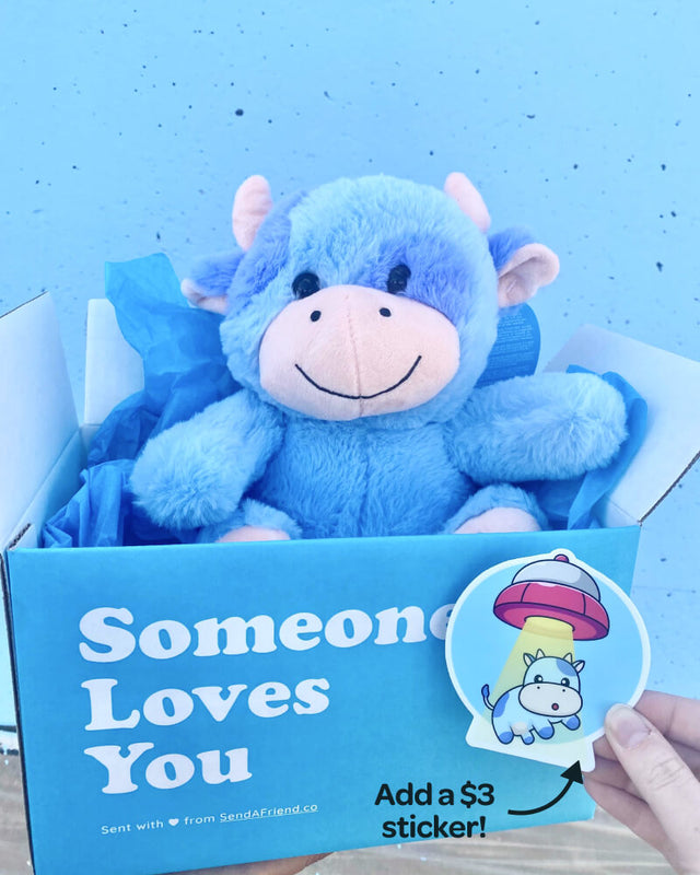Photo of blue Beau the Blueberry cow in Someone Loves You box and hand holding matching sticker available for an additional $3. 
