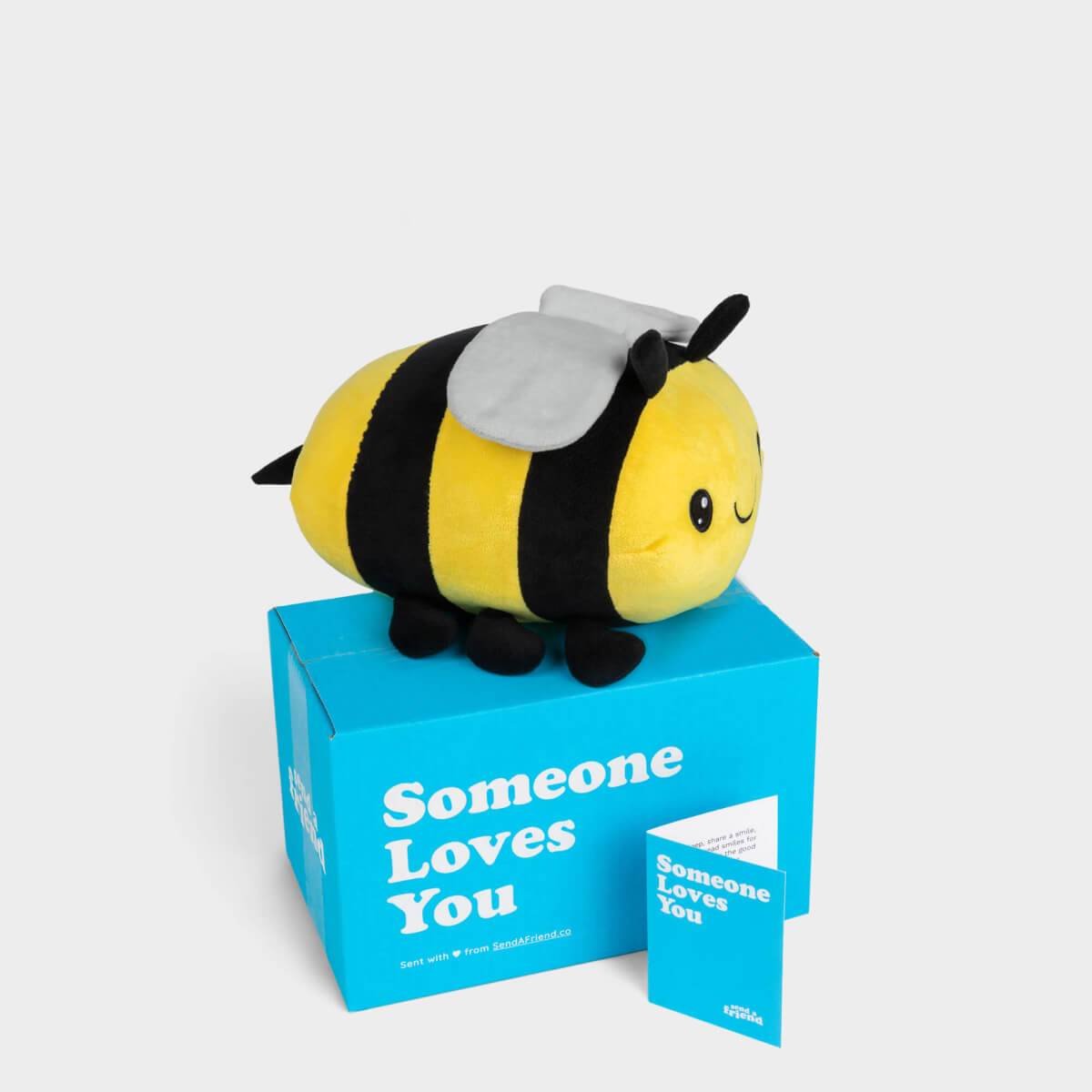 Beatrice the Bee Stuffed Animal Care Package - SendAFriend