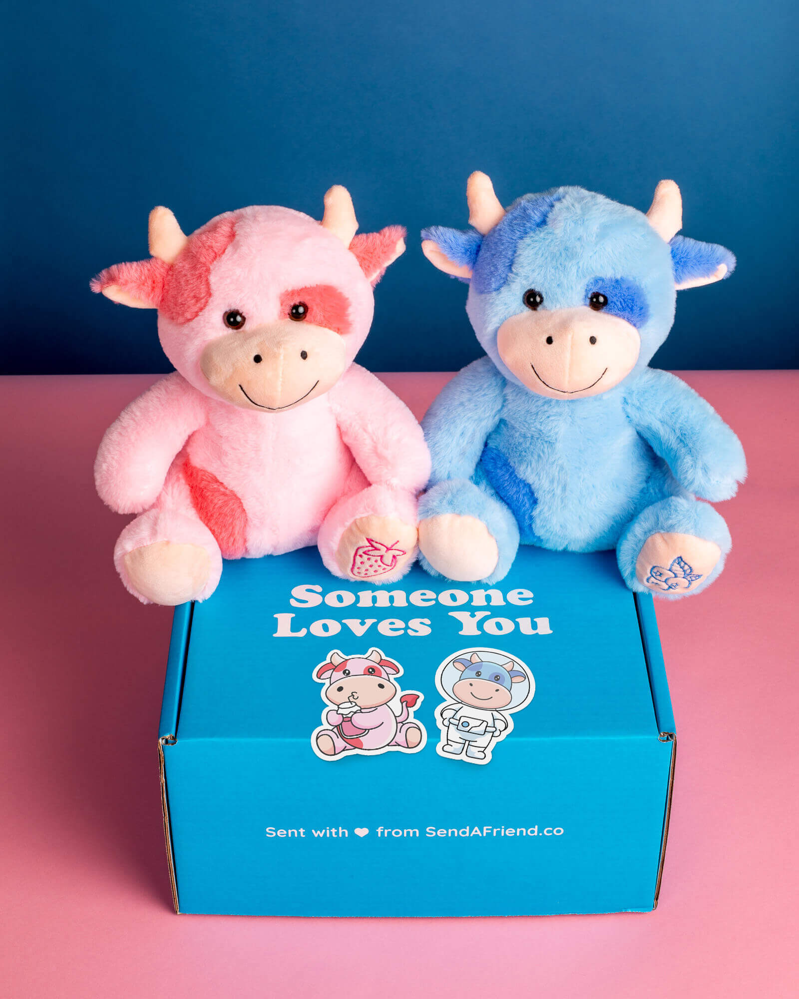 Photo of Sally the Straberry Cow and Beau the Blueberry Cow plushies sitting on Someone Loves You box with matching stickers