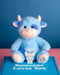 Photo of Beau the Blueberry Cow plushie sitting on Someone Loves You box with matching sticker