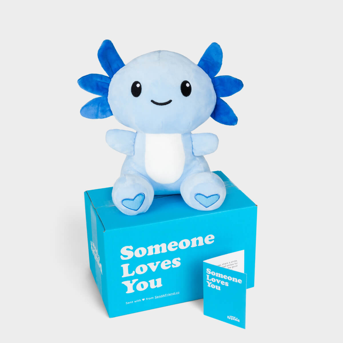 Bruno the Blue Axolotl Stuffed Animal Care Package - SendAFriend