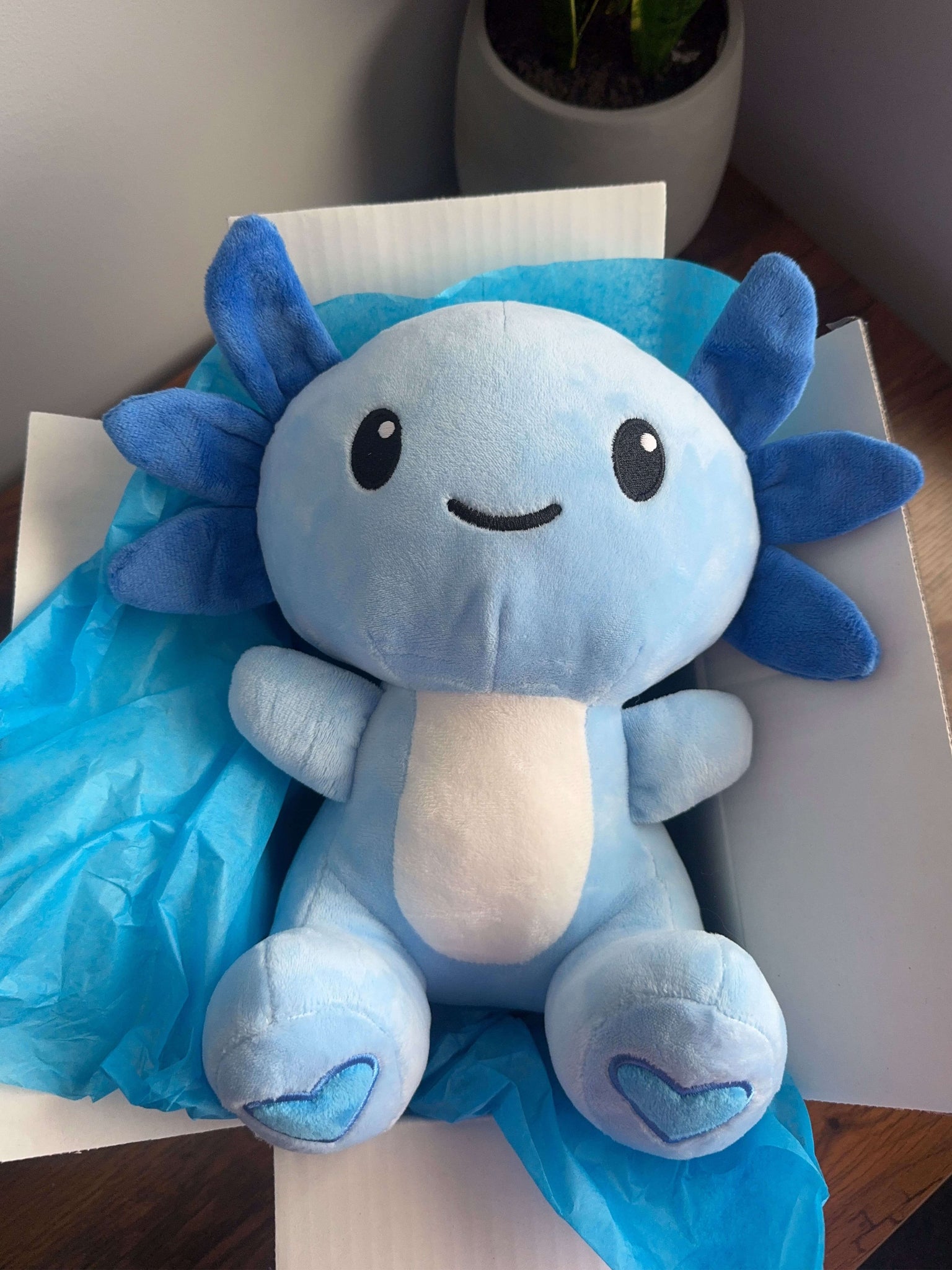 Bruno the Blue Axolotl 🩵