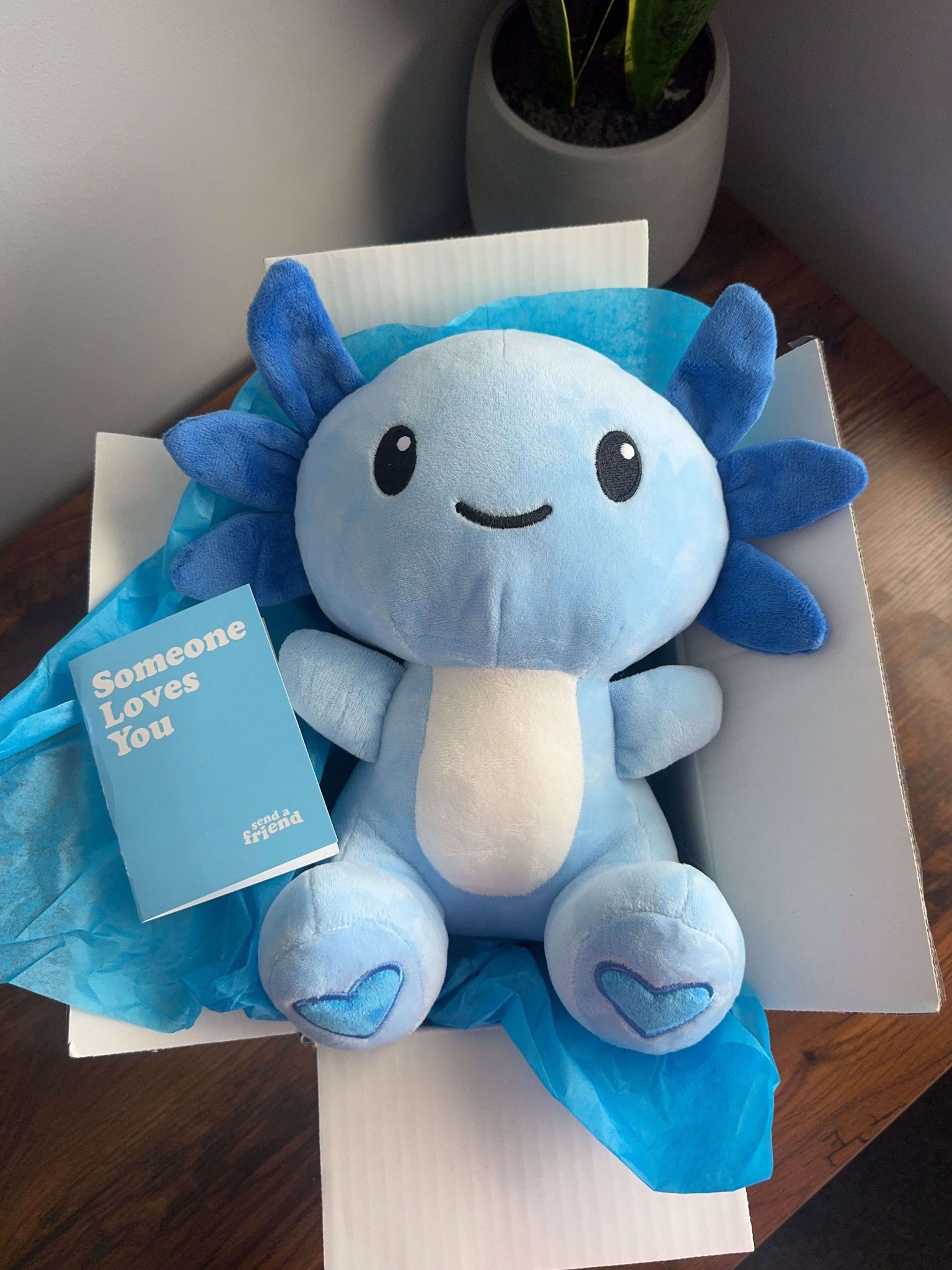 Bruno the Blue Axolotl 🩵