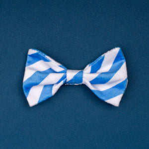 Photo of blue and white striped bow tie for animals. 