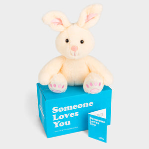 Benny the Bunny Stuffed Animal Care Package - SendAFriend