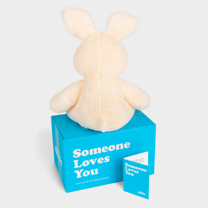 Benny the Bunny 🐰