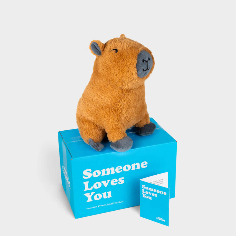 Crouton the Capybara 🍊