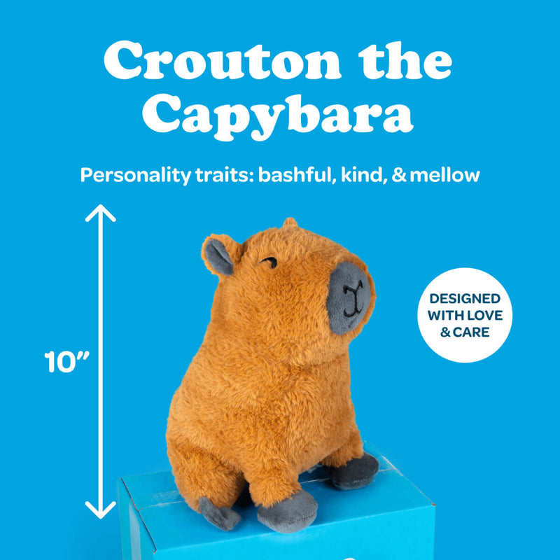 Crouton the Capybara 🍊