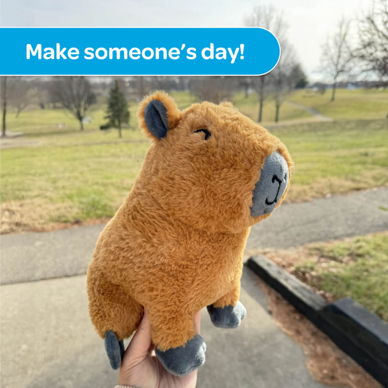 Crouton the Capybara 🍊