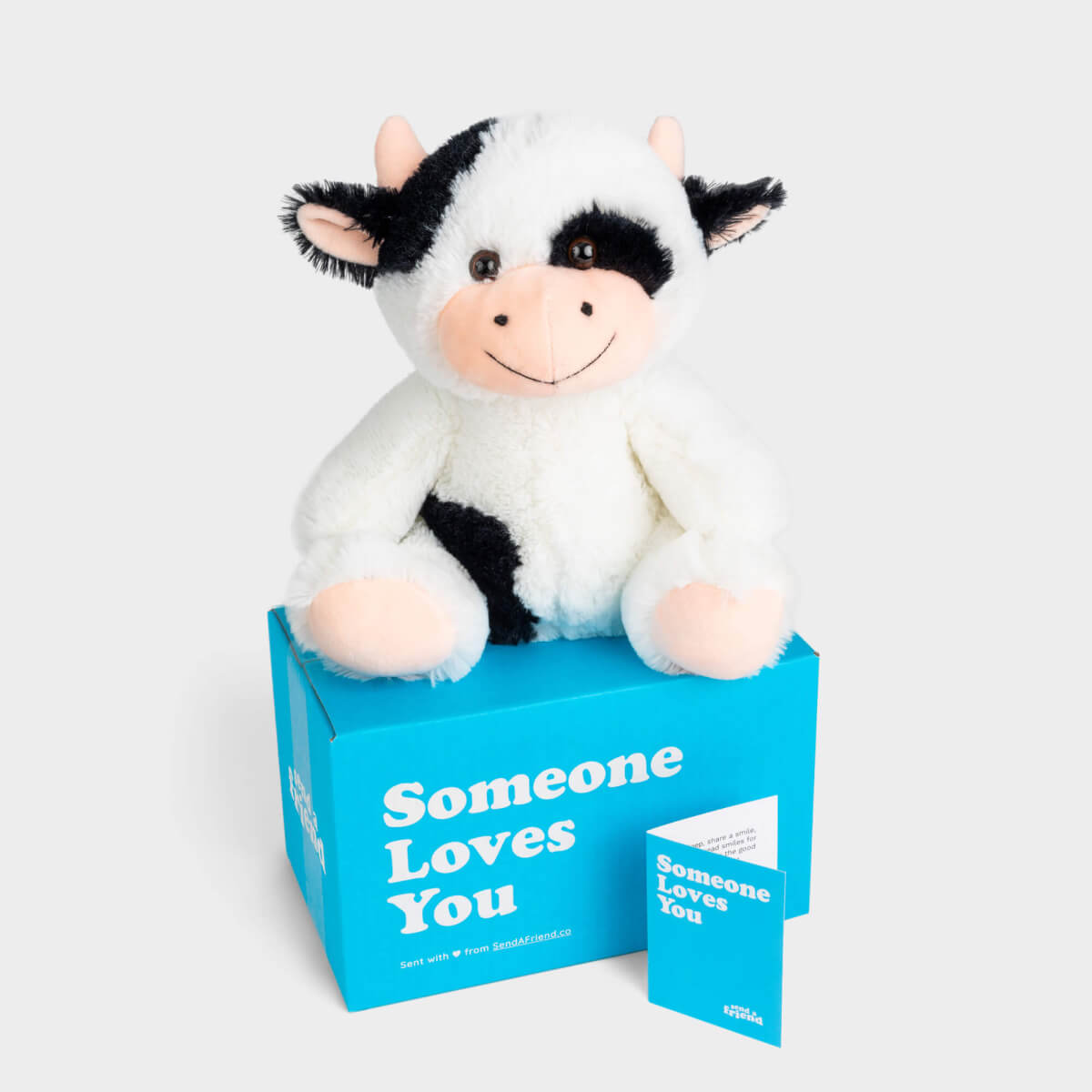 Cooper the Cow Stuffed Animal Care Package - SendAFriend