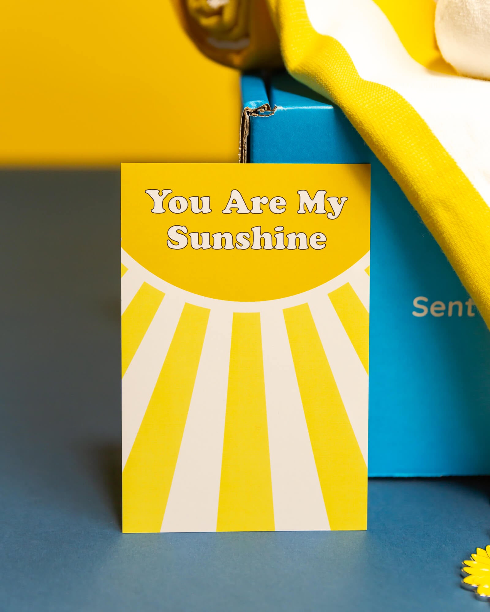 Deluxe You Are My Sunshine Bundle 🌞