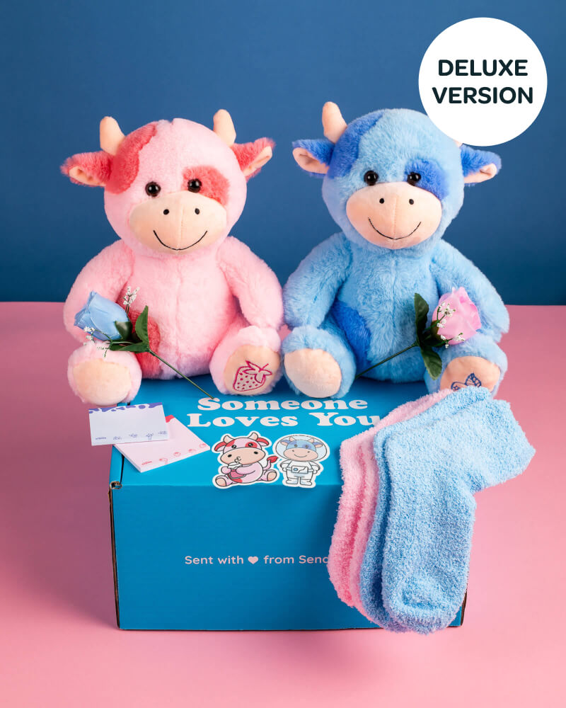 Photo of Strawberry Cow and Blueberry Cow plushies sitting on Someone Loves You box with matching stickers and accessories.