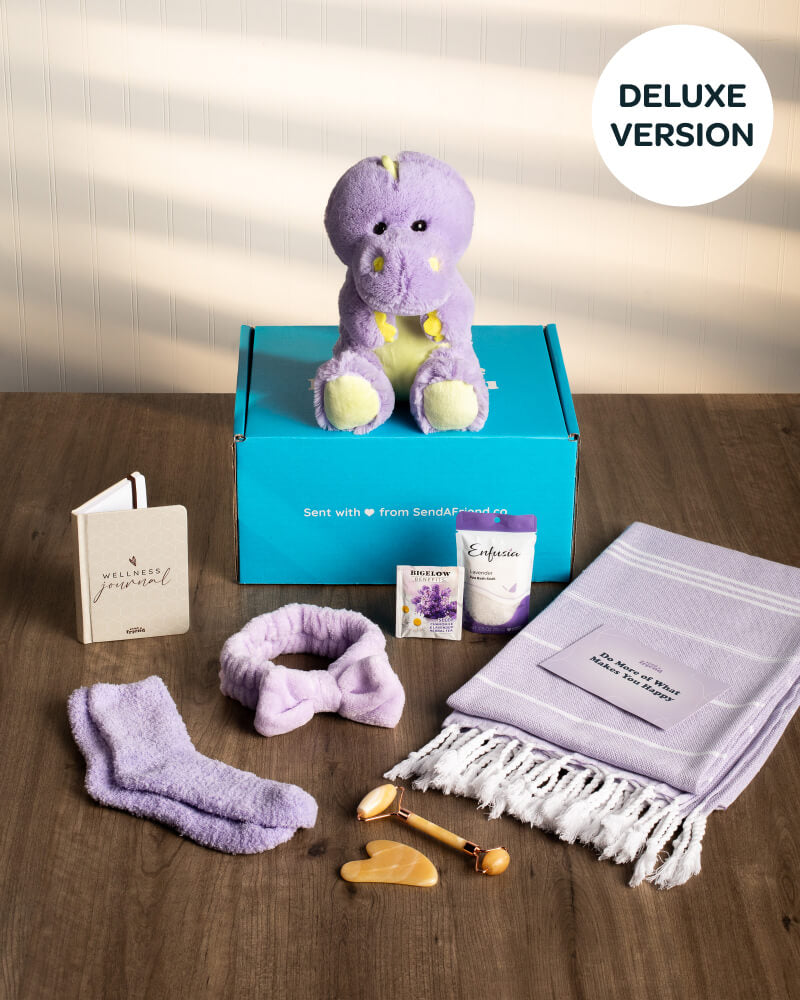 Photo of purple Dexter the Dinosaur plushie, Someone Loves You box, and the Deluxe Self Care Bundle