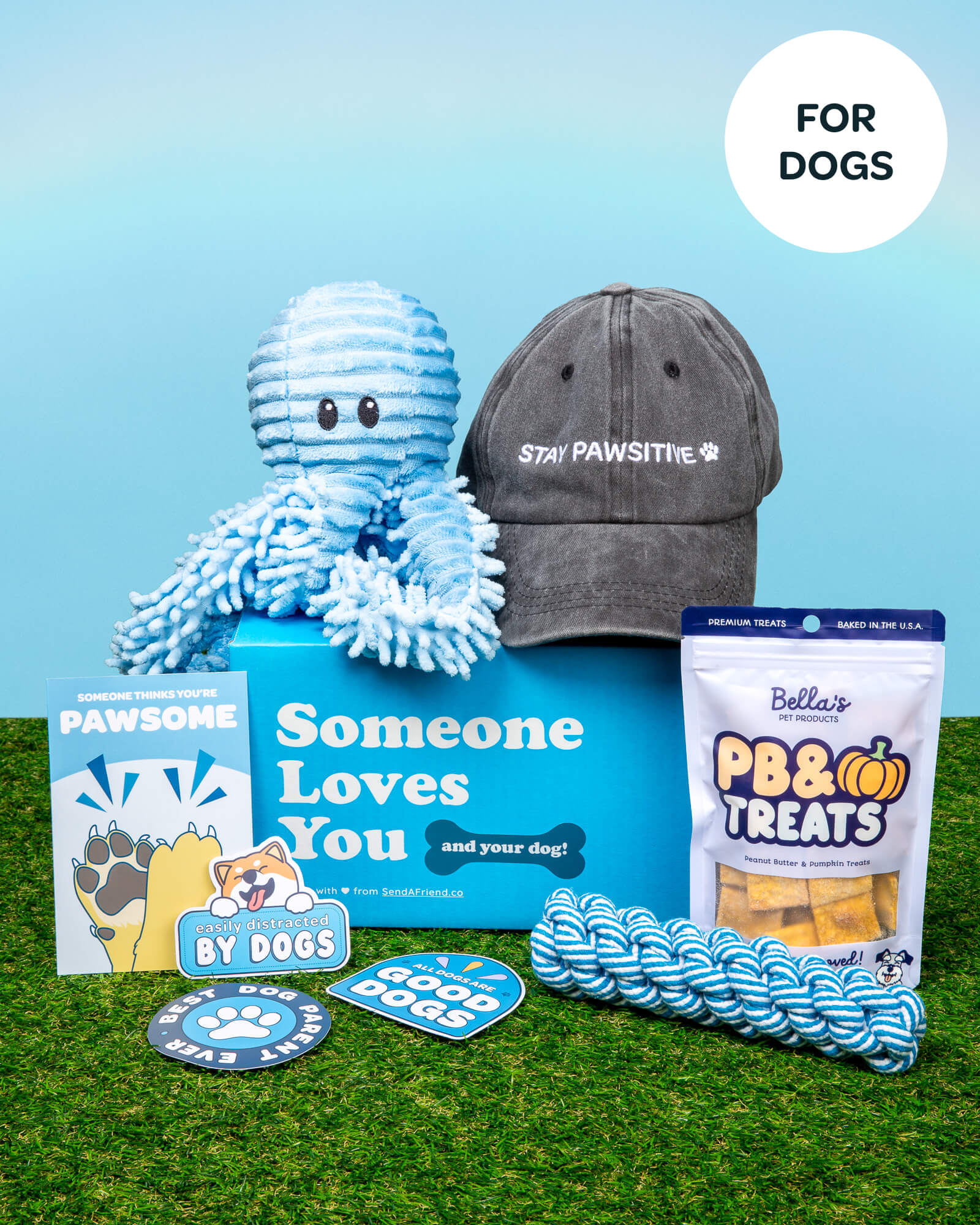Photo of Someone Loves Your Dog Bundle: octopus plush dog toy, human hat, promo card, 3 stickers, rope toy for dog, dog treats