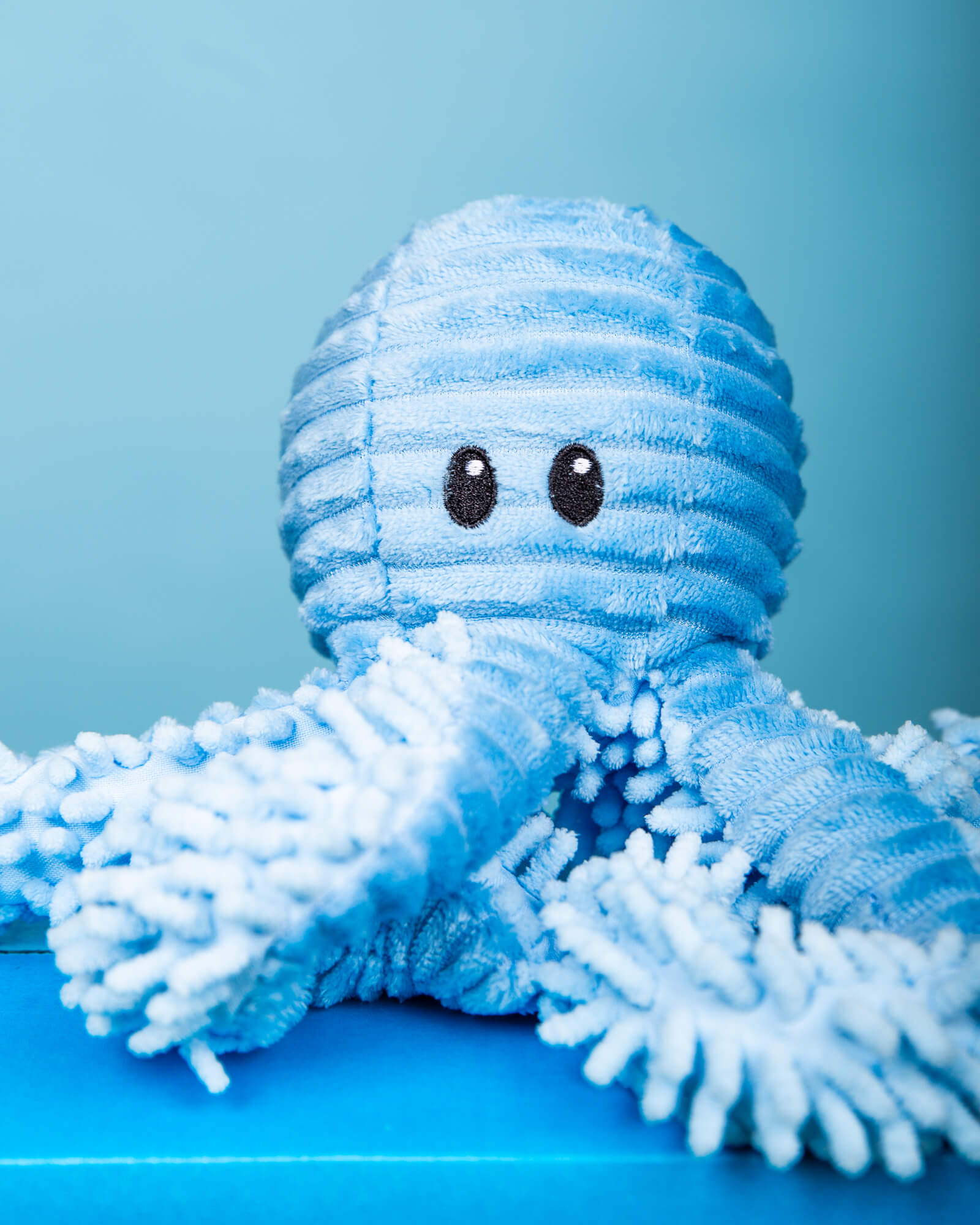 Photo of blue octopus plush dog toy