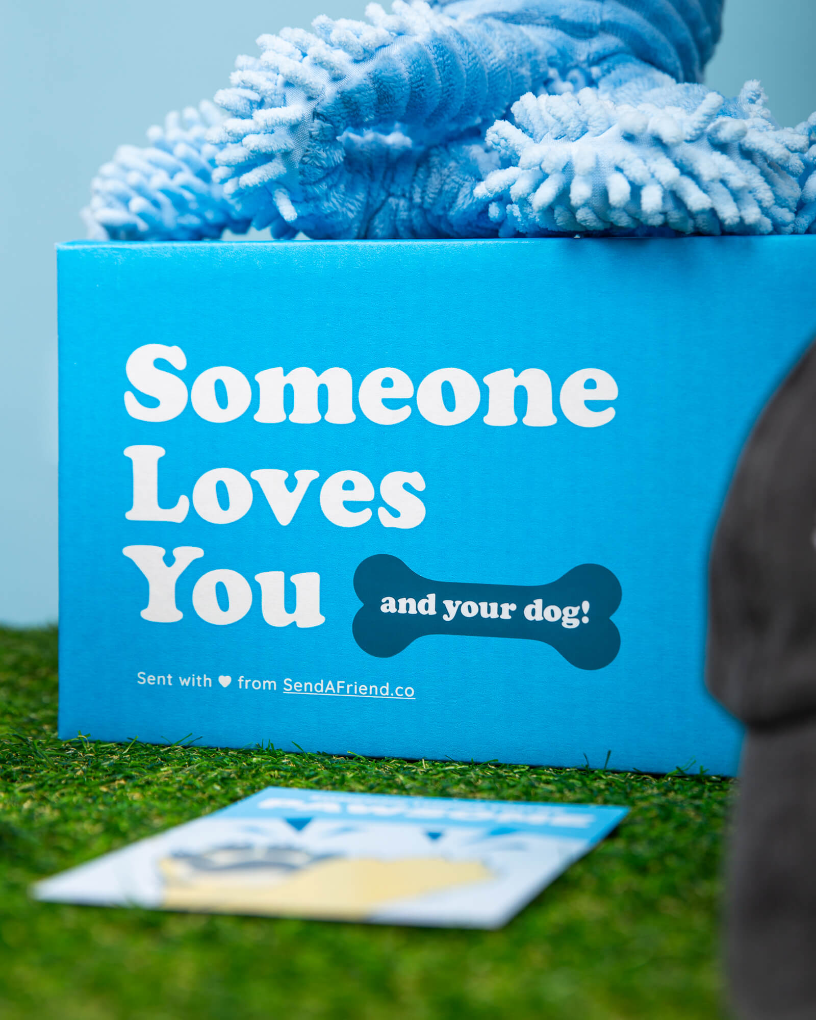 Photo of Someone Loves You and your dog box