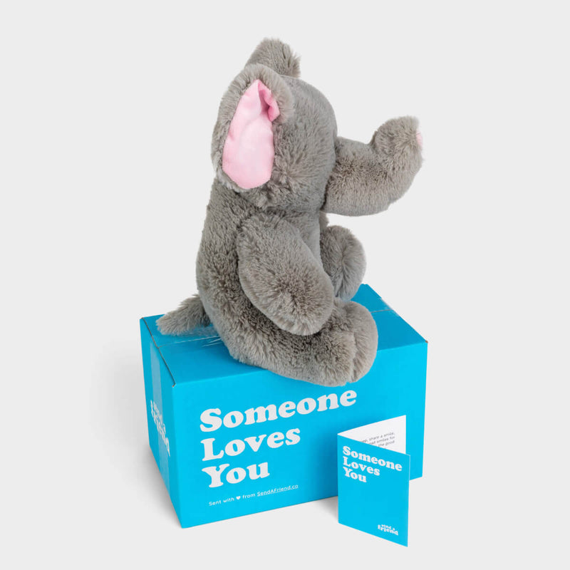 Eli the Elephant 🐘