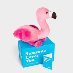 Faye the Flamingo Stuffed Animal Care Package - SendAFriend Faye the Flamingo Stuffed Animal Care Package - SendAFriend