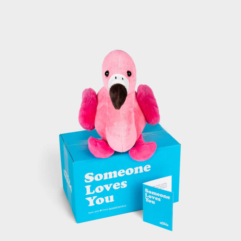 Faye the Flamingo 🦩