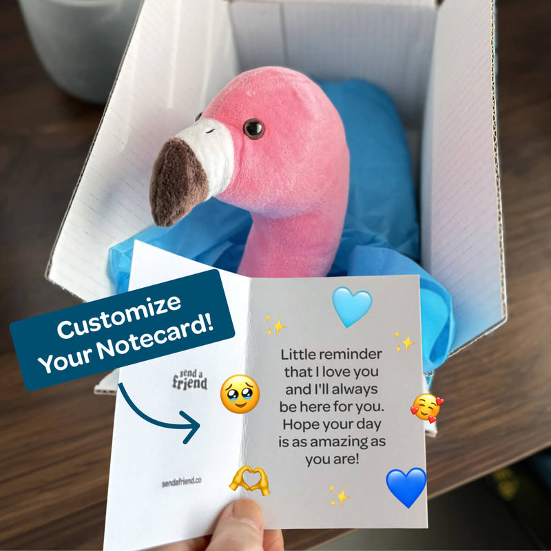 Faye the Flamingo 🦩