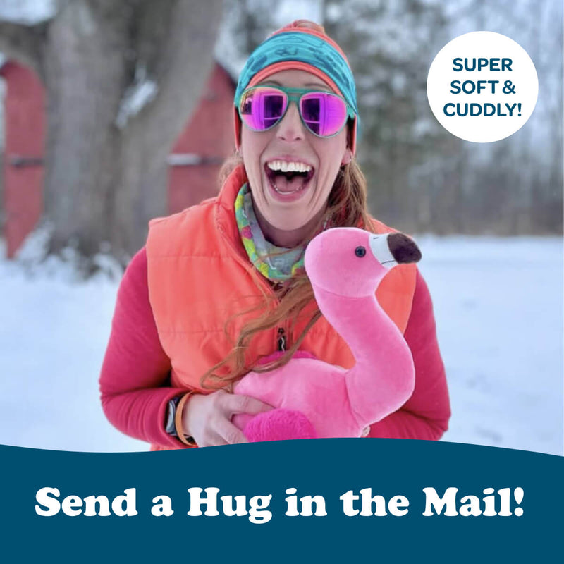 Faye the Flamingo 🦩