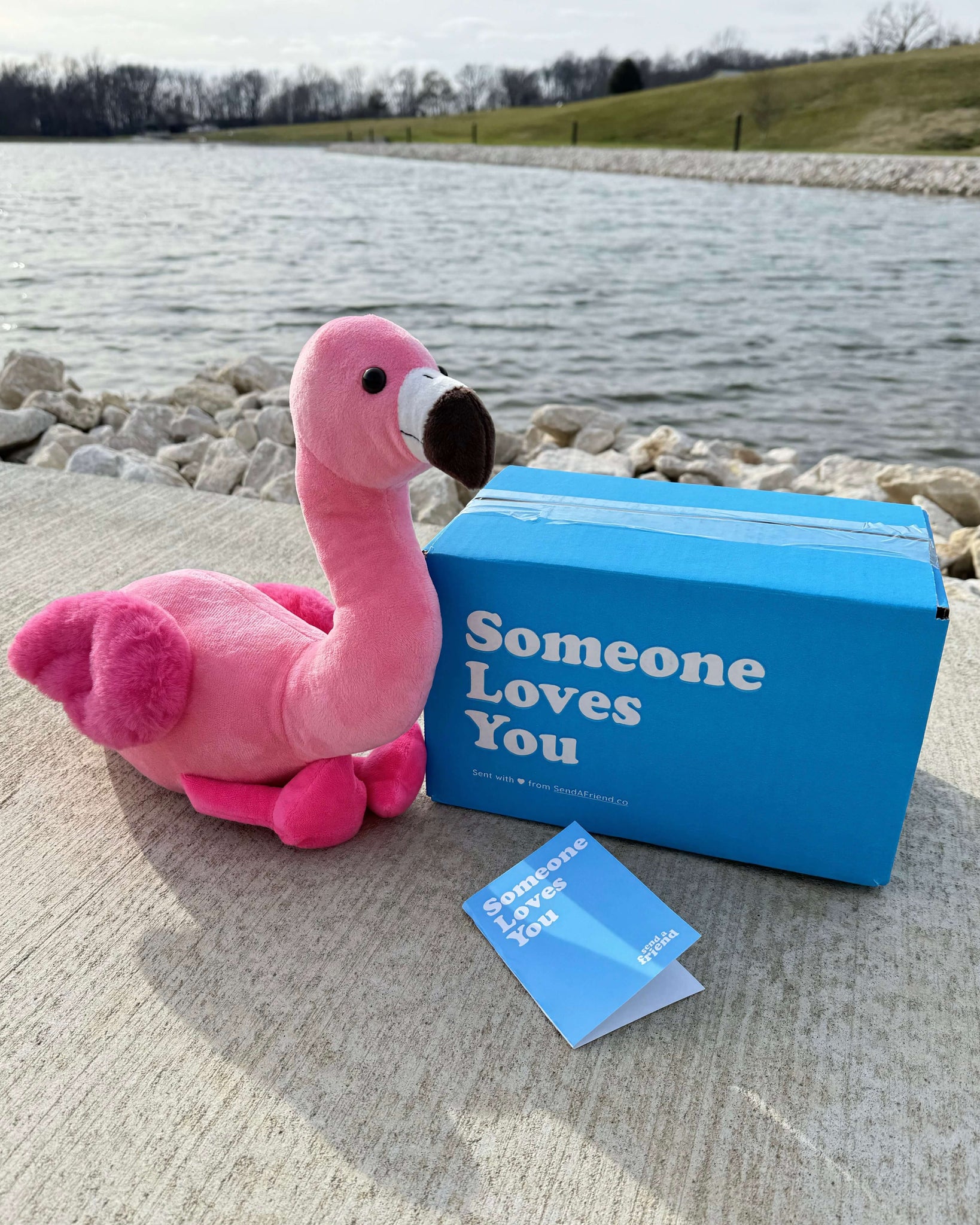 Photo of pink Faye the Flamingo sitting outdoors near body of water with Someone Loves You box and a note card