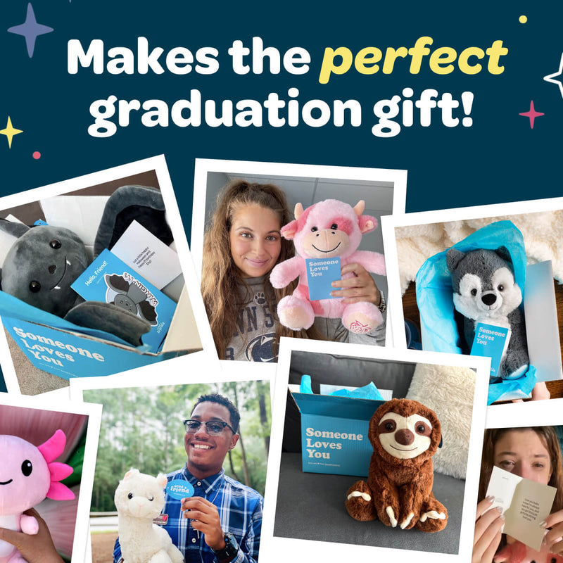 Graduation Bundle 🎓