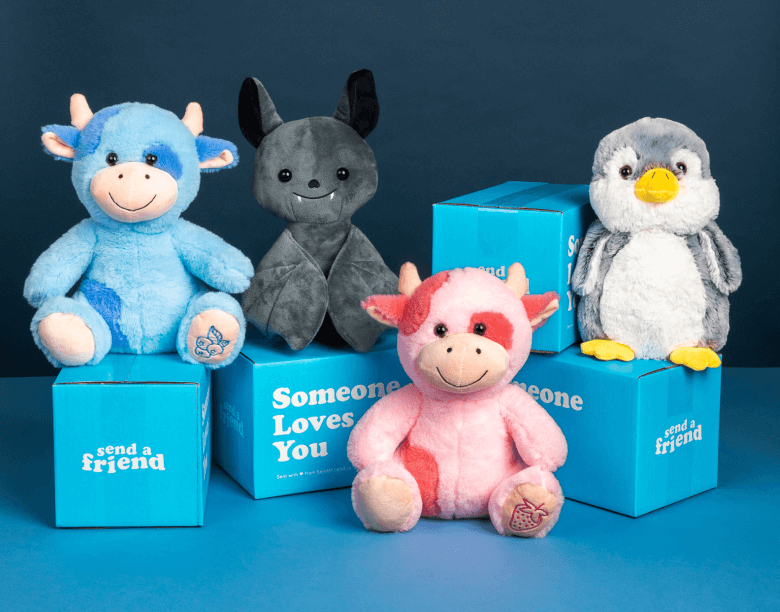 Send a Stuffed Animal Gift & Care Package | SendAFriend