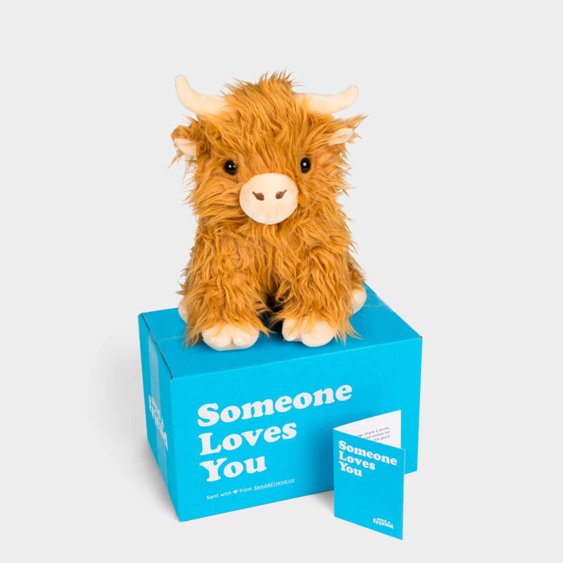 Helena the Highland Cow 🏔️🐮