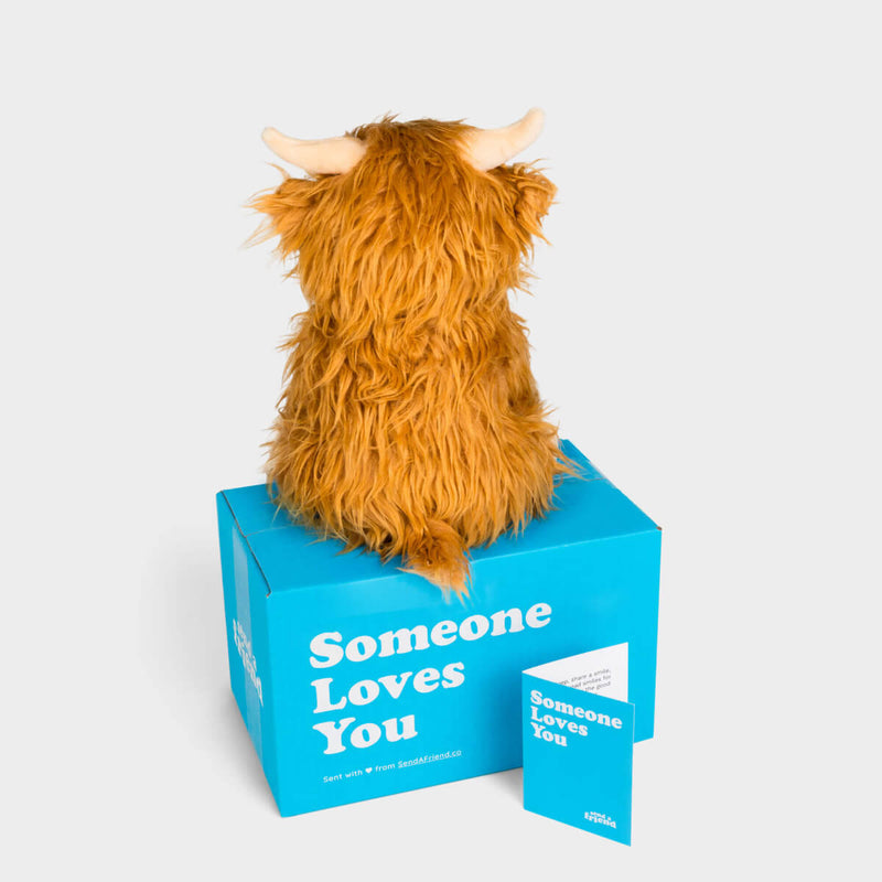 Helena the Highland Cow 🏔️🐮