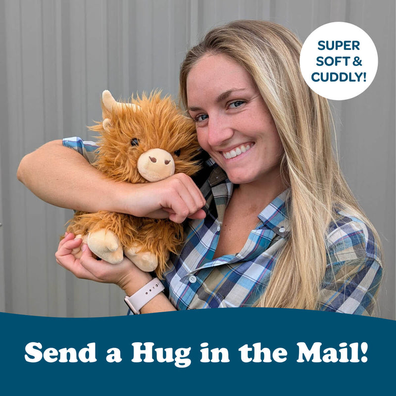 Helena the Highland Cow 🏔️🐮