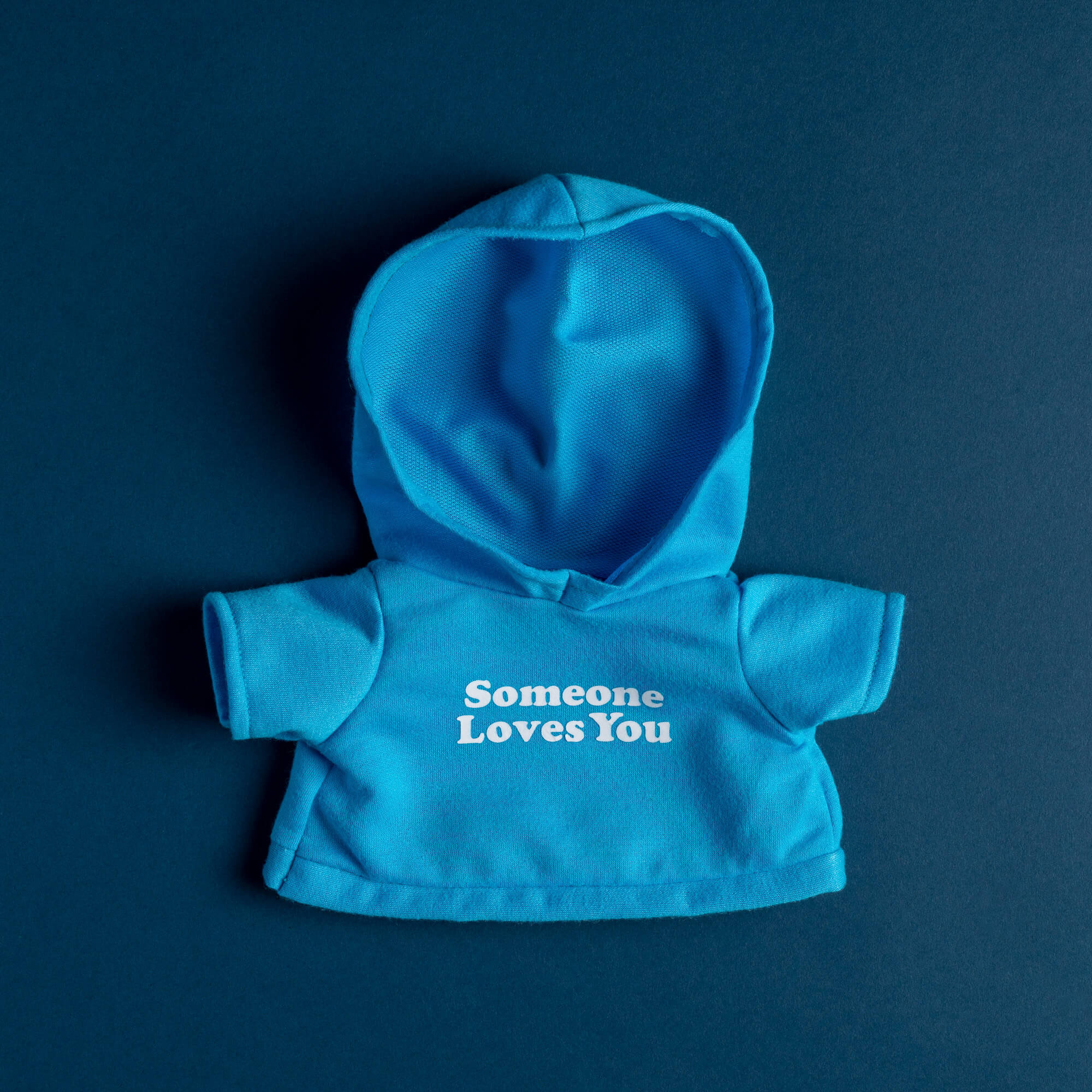Photo of blue hoodie for animal. Hoodie says "Someone Loves You"