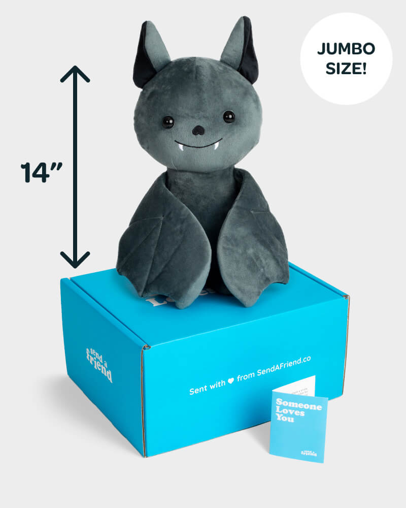 Photo of black Jumbo Binks the Bat 14 inch plushie with Someone Loves You box and notecard