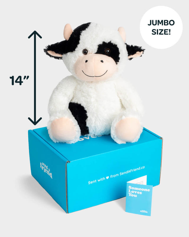 Photo of Jumbo 14 inch black and white Cooper the Cow plushie with Someone Loves You box and notecard
