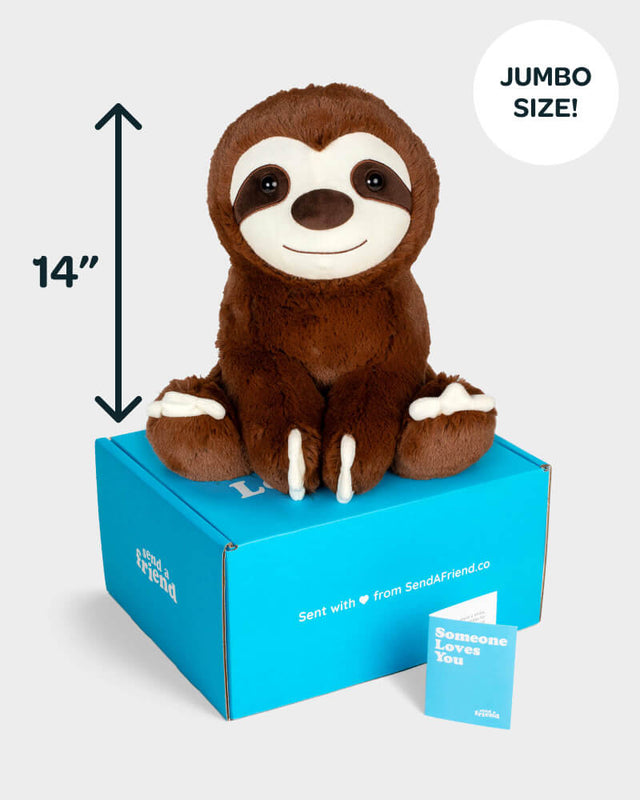 Photo of brown Jumbo Sam the Sloth 14 inch plushie with Someone Loves You box and notecard