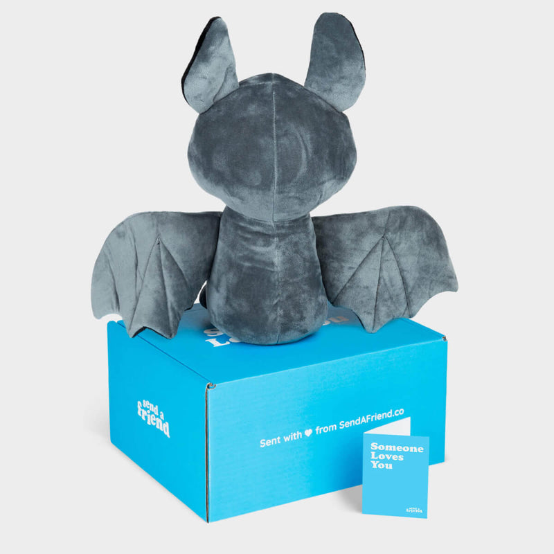 Binks the Jumbo Bat Stuffed Animal Care Package - SendAFriend
