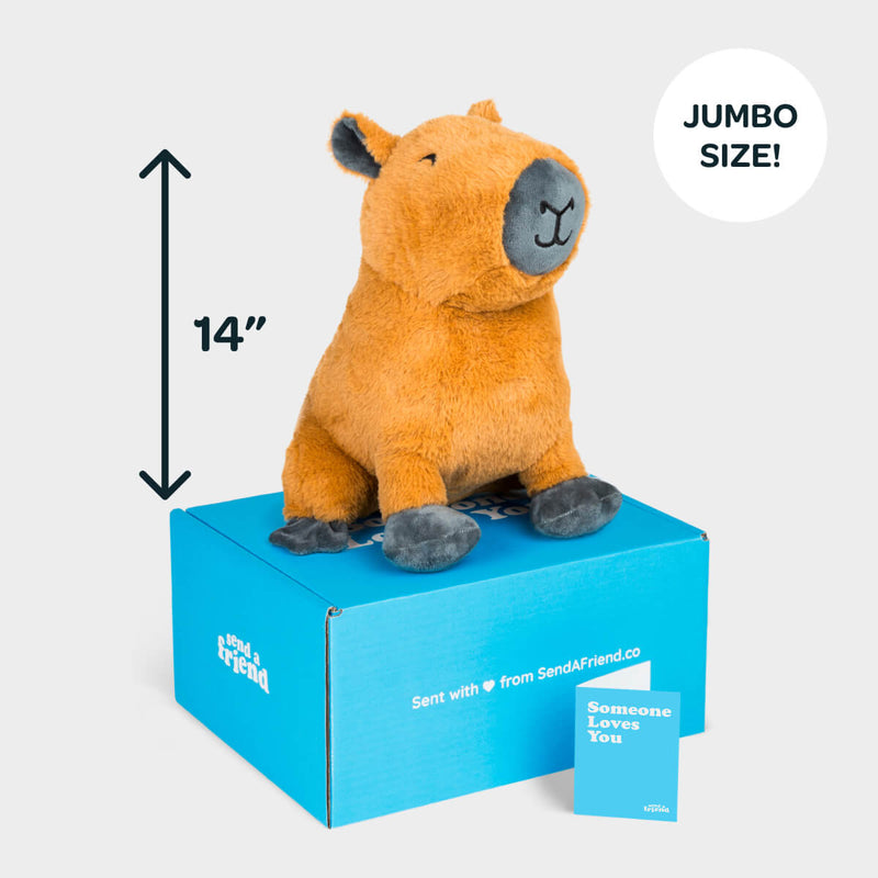 Crouton the Jumbo Capybara Stuffed Animal Care Package - SendAFriend