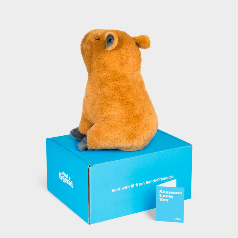 Crouton the Jumbo Capybara Stuffed Animal Care Package - SendAFriend