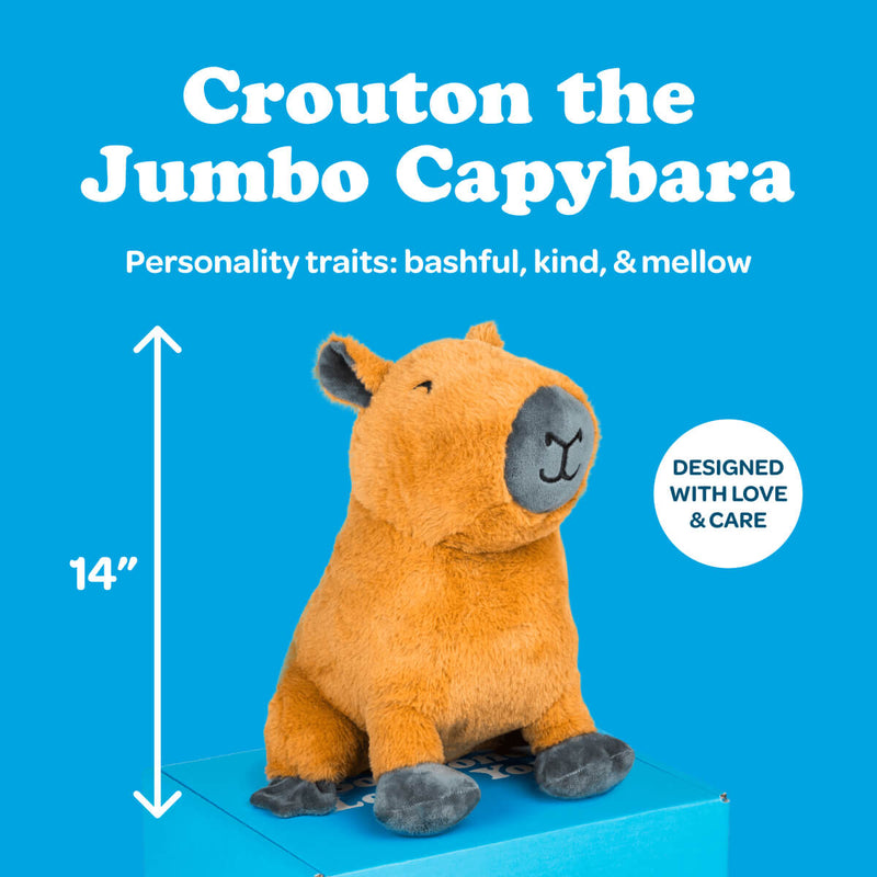 Crouton the Jumbo Capybara 🍊