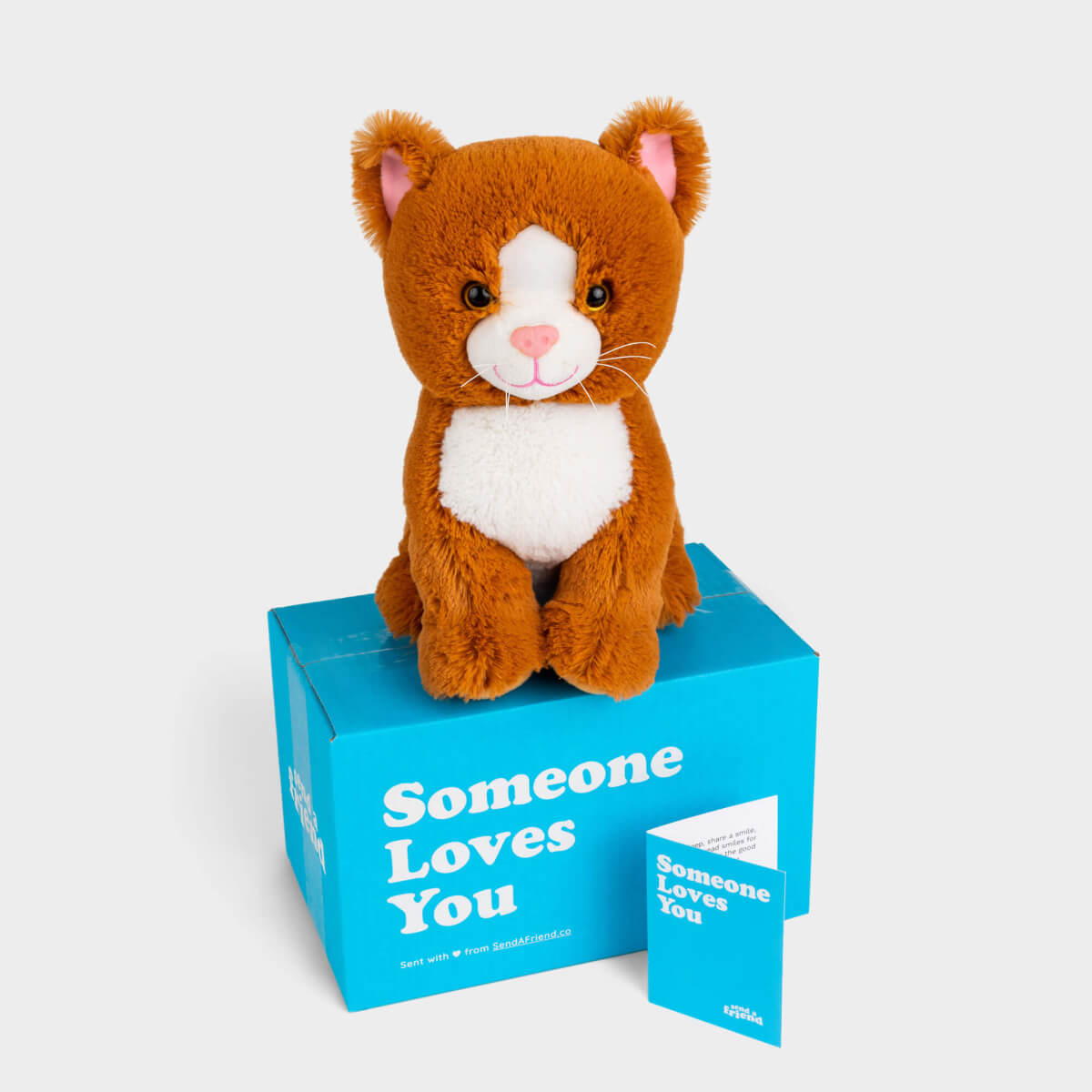 Kiwi the Kitten Stuffed Animal Care Package - SendAFriend