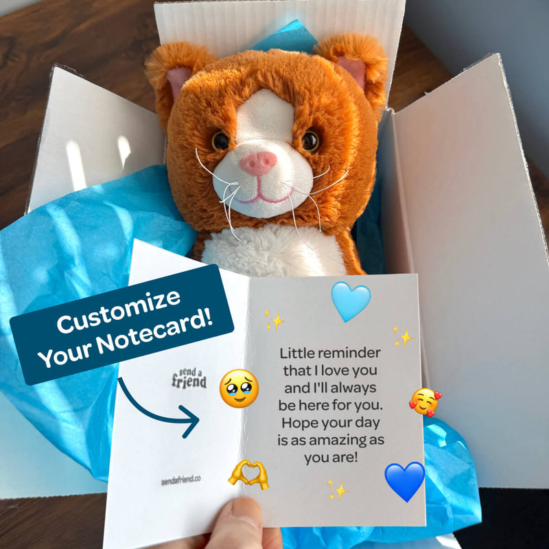 Kiwi the Kitten 🐱