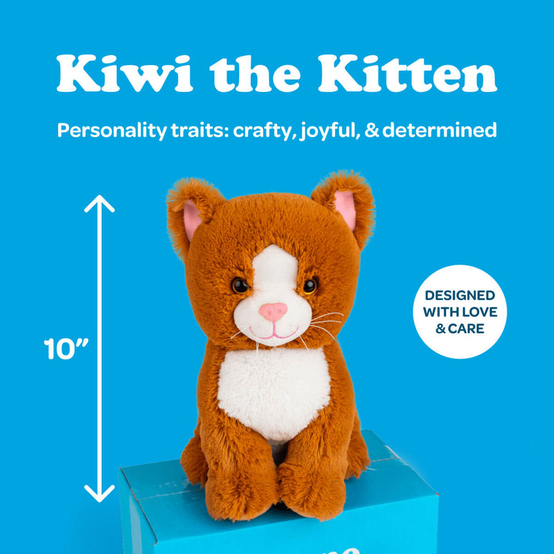 Kiwi the Kitten 🐱