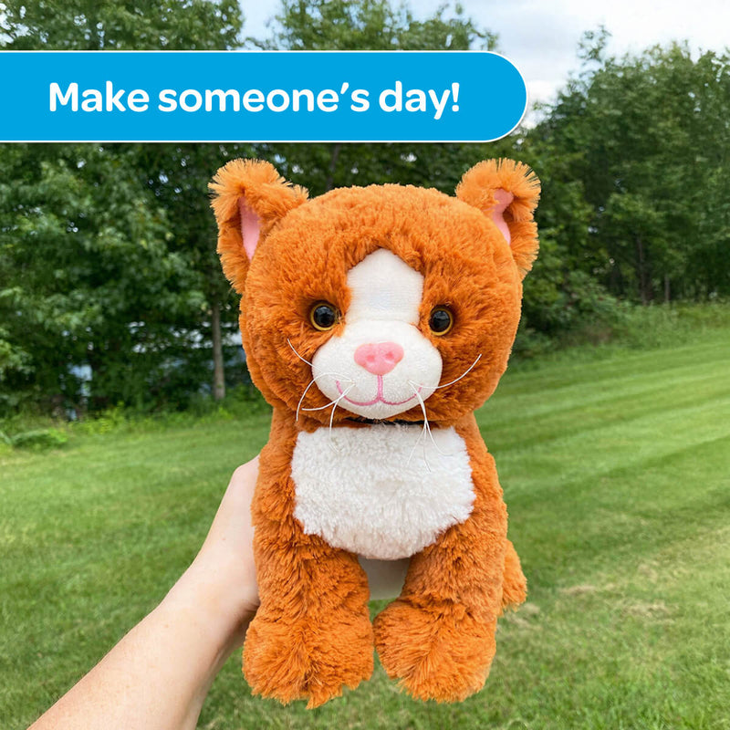Kiwi the Kitten Stuffed Animal Care Package - SendAFriend