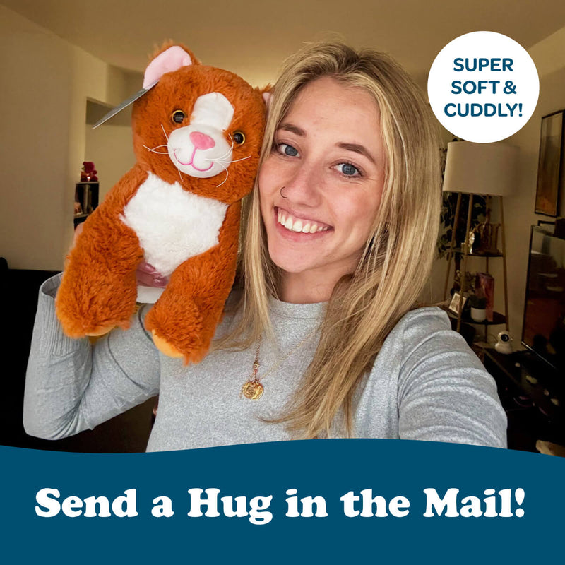 Kiwi the Kitten 🐱