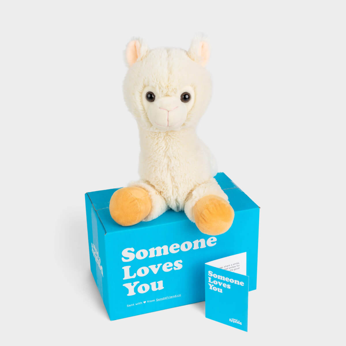 Lawrence the Llama Stuffed Animal Care Package - SendAFriend
